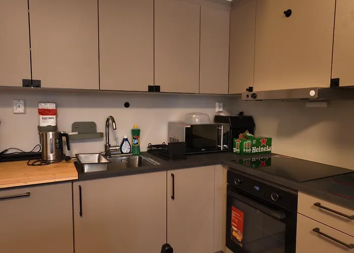 New Modern 2 With 2 Beds & Free Parking Apartman Lorenskog